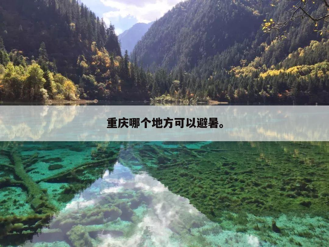 重庆哪个地方可以避暑。