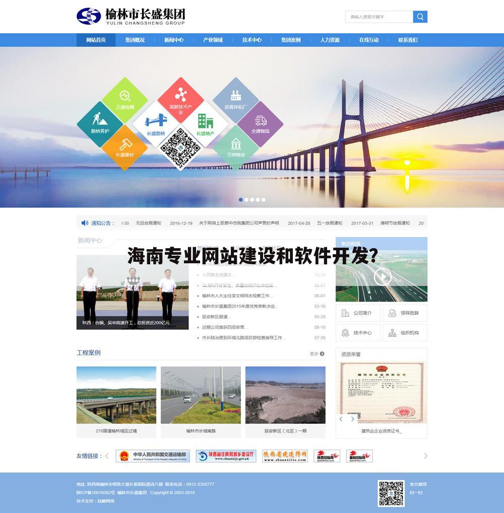 海南专业网站建设和软件开发?