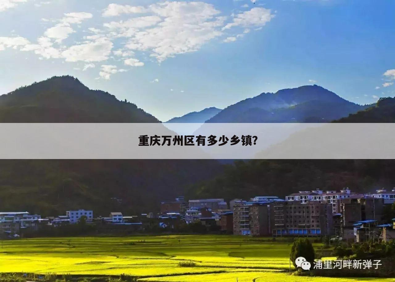 重庆万州区有多少乡镇？