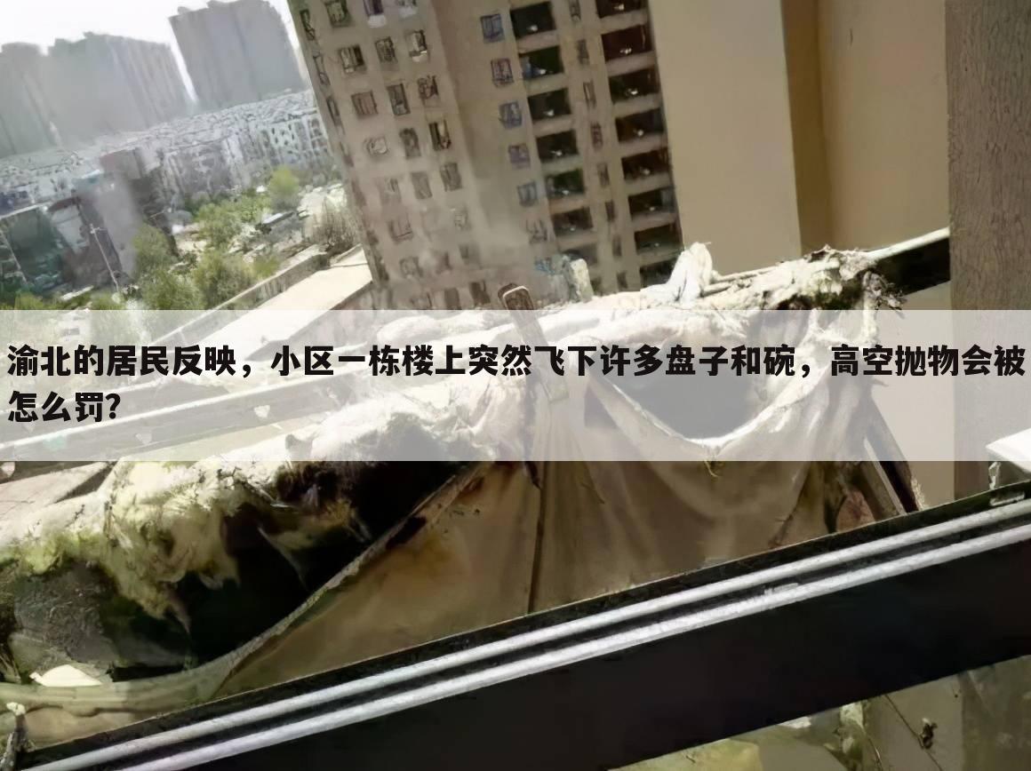 渝北的居民反映,小区一栋楼上突然飞下许多盘子和碗,高空抛物会被怎么罚?