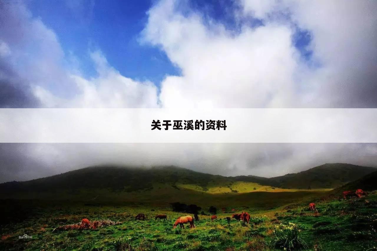 关于巫溪的资料