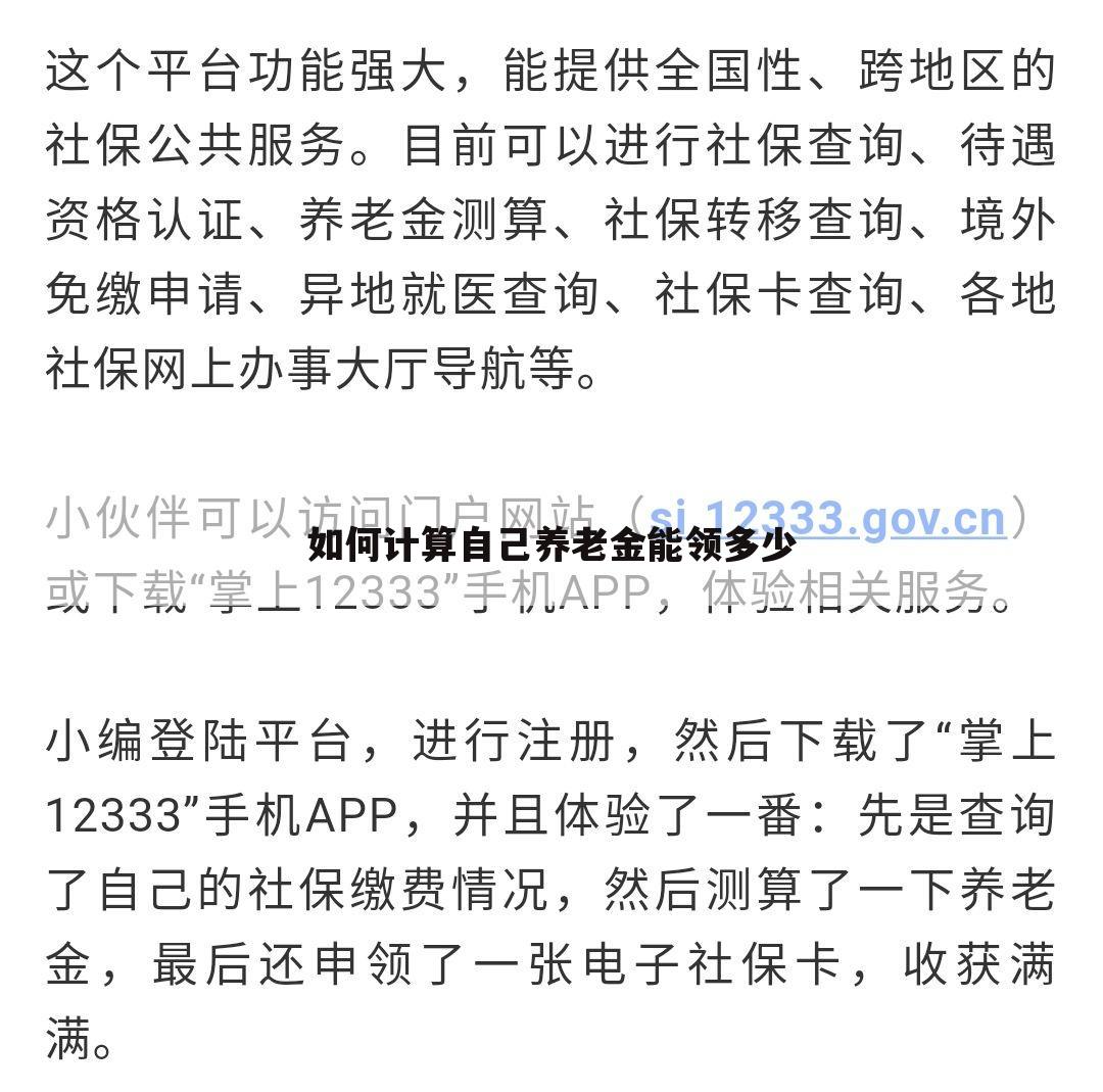 如何计算自己养老金能领多少
