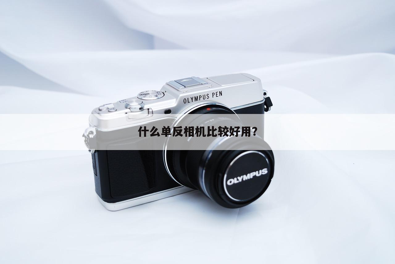 什么单反相机比较好用？
