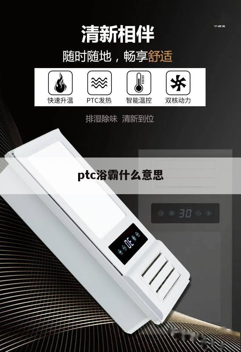 ptc浴霸什么意思