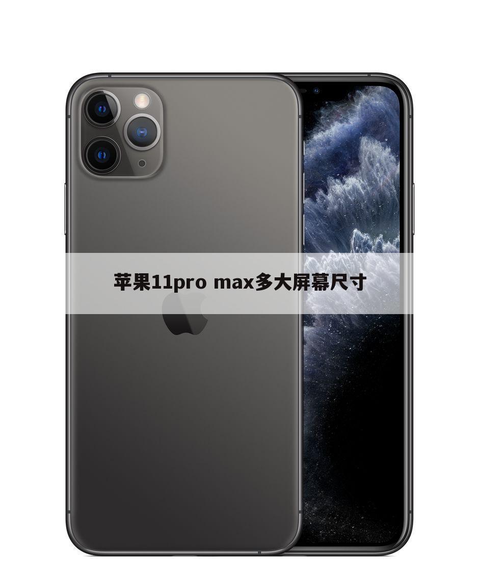 苹果11pro max多大屏幕尺寸