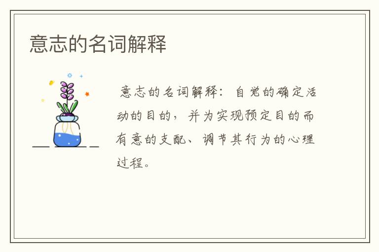 意志的名词解释