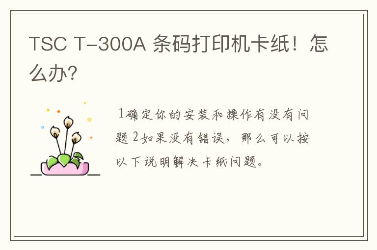 TSC T-300A 条码打印机卡纸！怎么办？