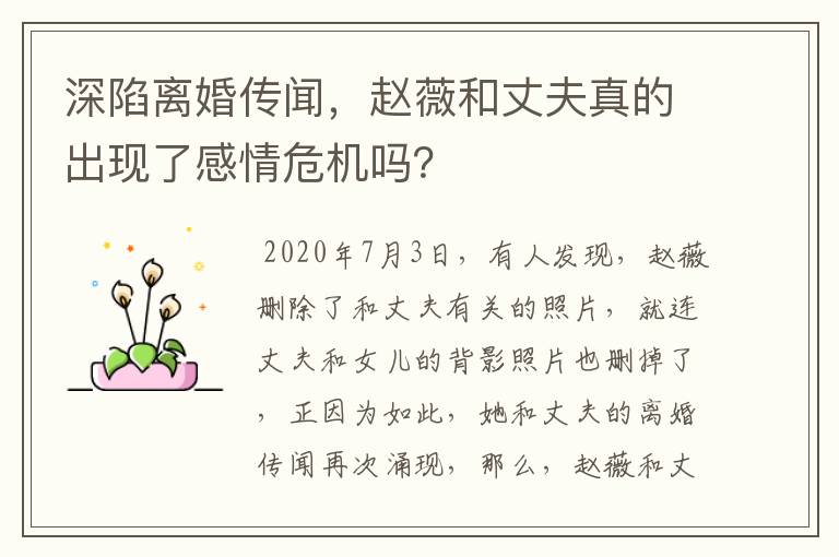 深陷离婚传闻,赵薇和丈夫真的出现了感情危机吗?