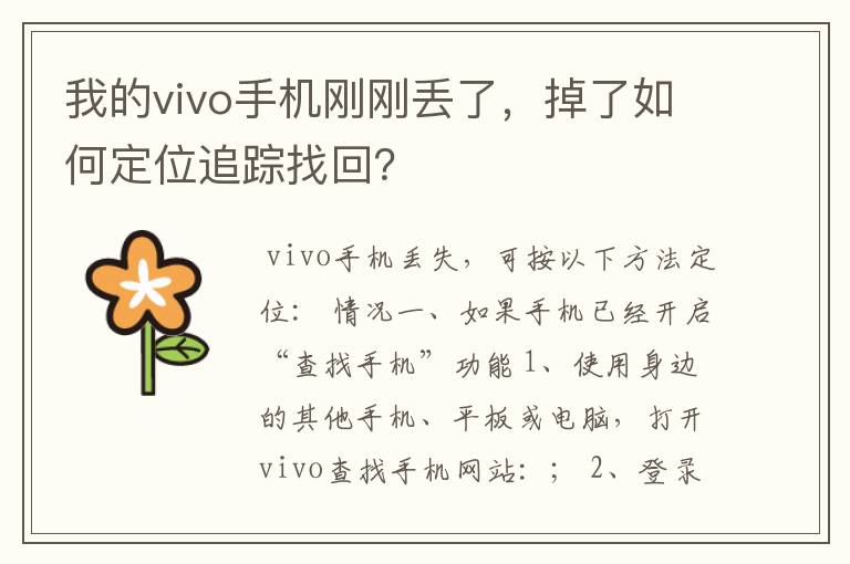 我的vivo手机刚刚丢了,掉了如何定位追踪找回?