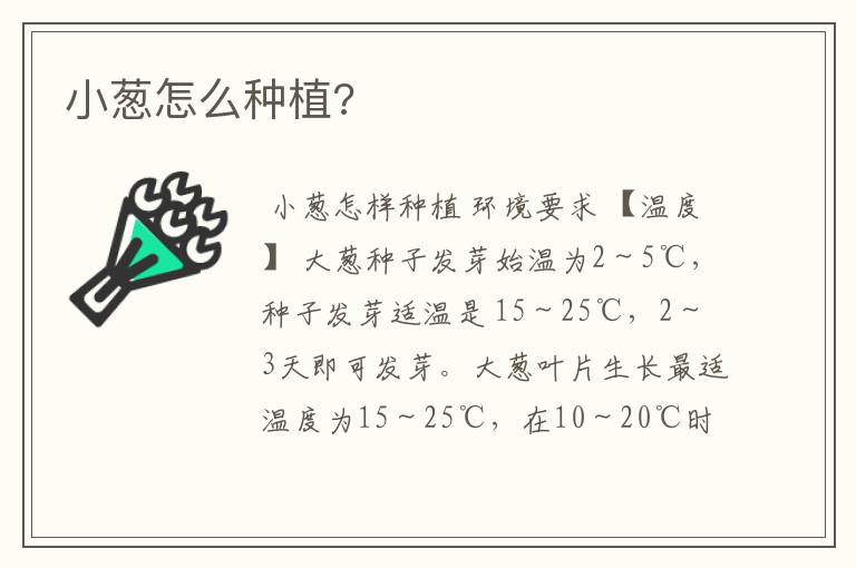小葱怎么种植?