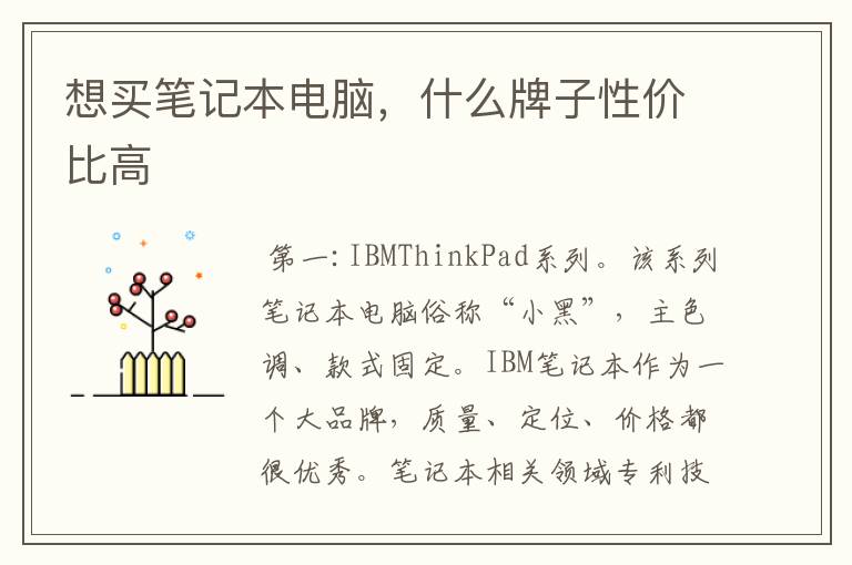 想买笔记本电脑，什么牌子性价比高