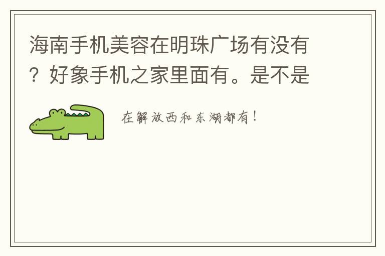 海南手机美容在明珠广场有没有？好象手机之家里面有。是不是？