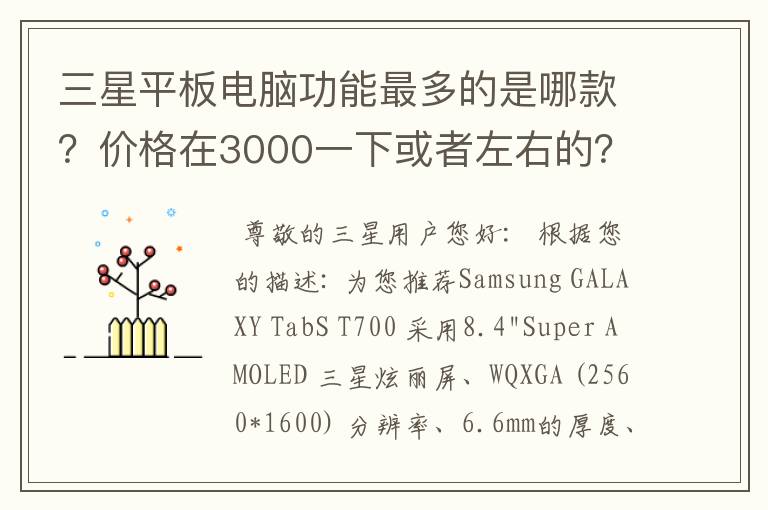 三星平板电脑功能最多的是哪款？价格在3000一下或者左右的？