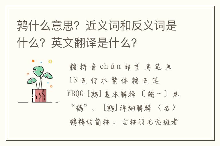 鹑什么意思？近义词和反义词是什么？英文翻译是什么？