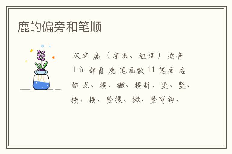 鹿的偏旁和笔顺