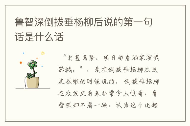鲁智深倒拔垂杨柳后说的第一句话是什么话