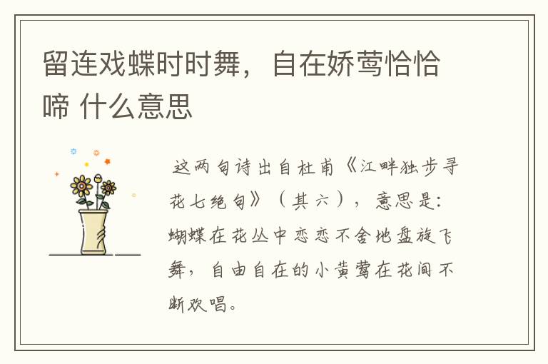留连戏蝶时时舞，自在娇莺恰恰啼 什么意思