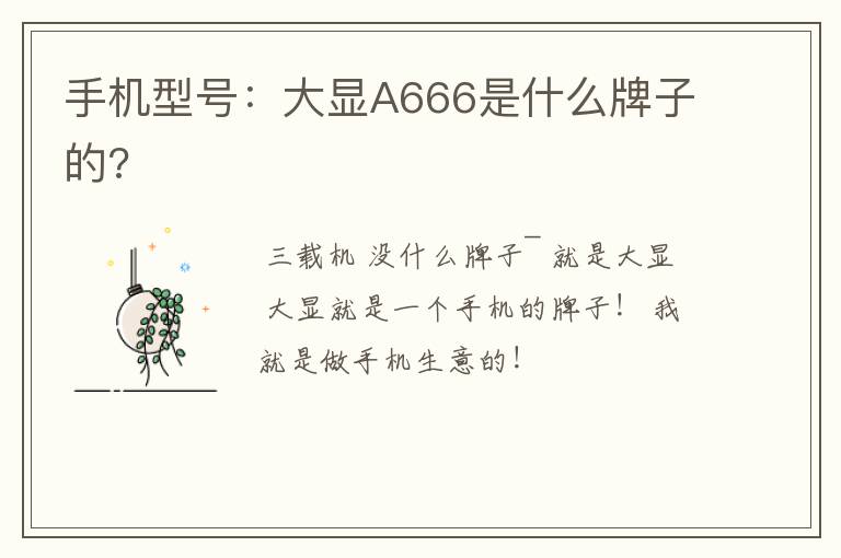 手机型号：大显A666是什么牌子的?