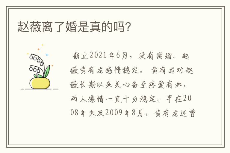 赵薇离了婚是真的吗？