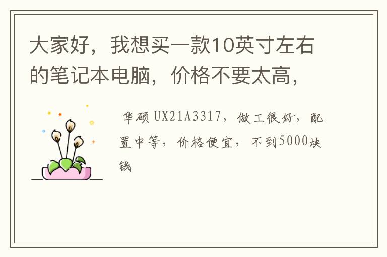 大家好，我想买一款10英寸左右的笔记本电脑，价格不要太高，配置中等的就可以，主要是要大品牌的，请大