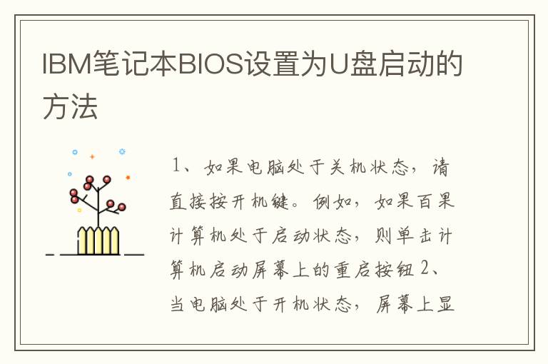 IBM笔记本BIOS设置为U盘启动的方法