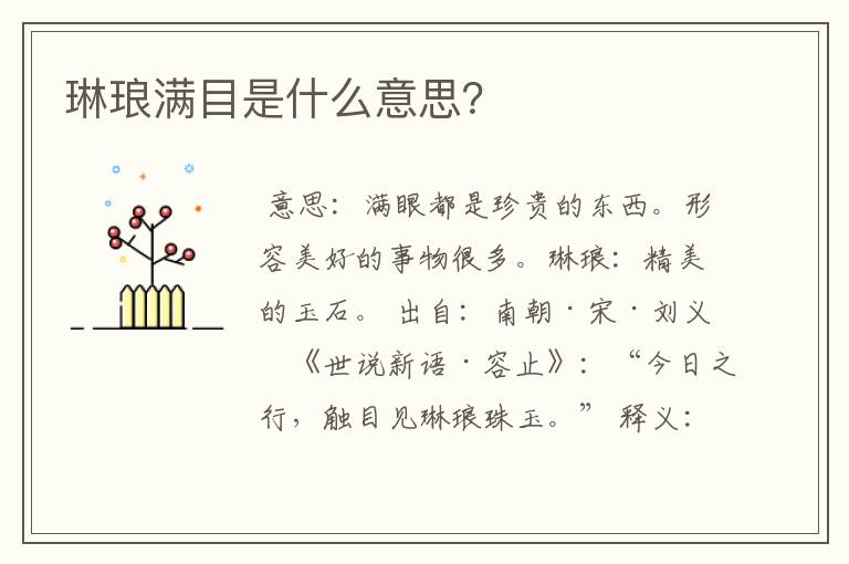 琳琅满目是什么意思？