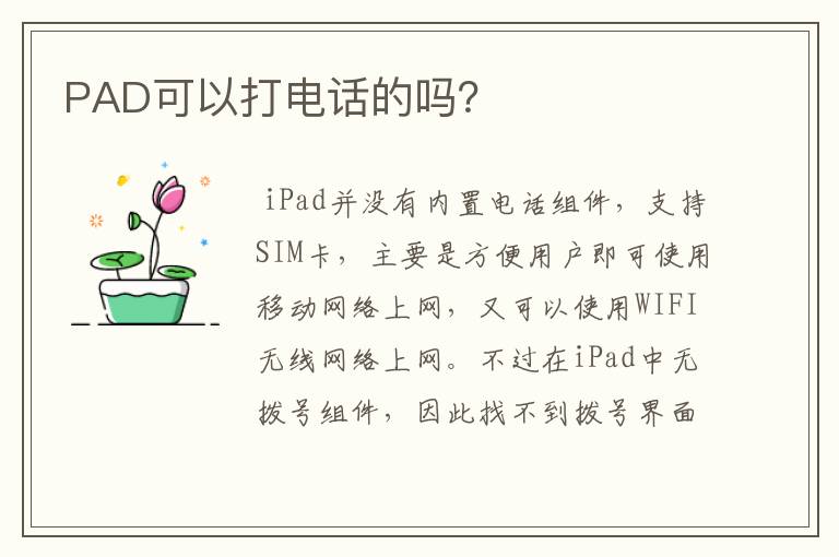 PAD可以打电话的吗？