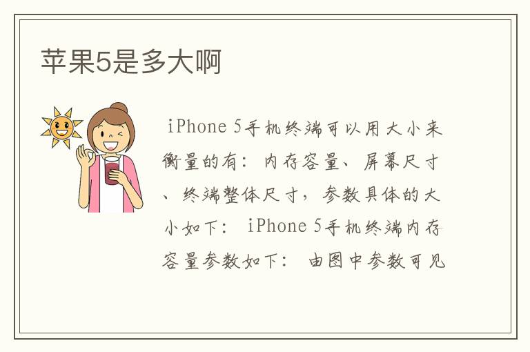 苹果5是多大啊
