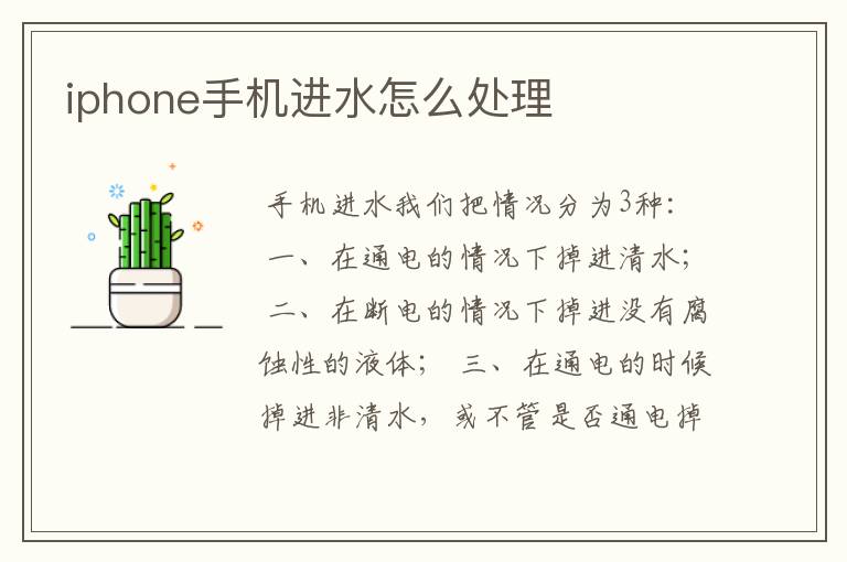 手机掉水里了应该怎么处理 iphone手机掉水里了应该怎么处理