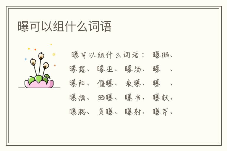 曝可以组什么词语