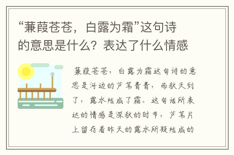 “蒹葭苍苍，白露为霜”这句诗的意思是什么？表达了什么情感？