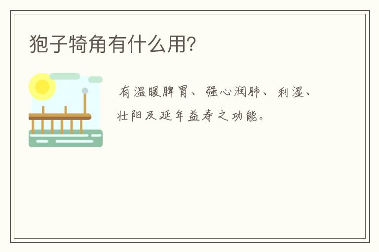 狍子犄角有什么用？