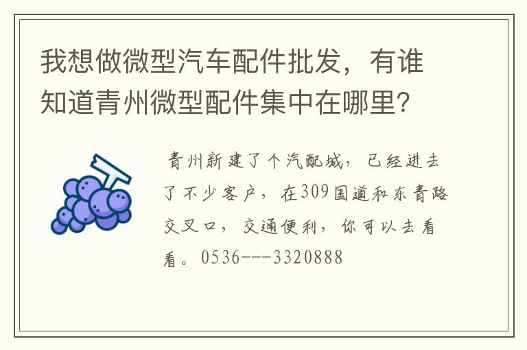 我想做微型汽车配件批发,有谁知道青州微型配件集中在哪里?我该怎么去找呢?