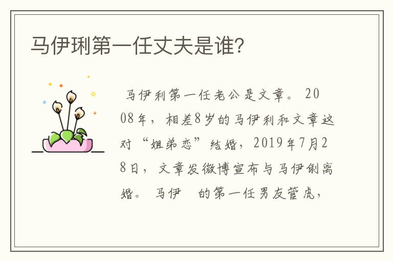 马伊琍第一任丈夫是谁？