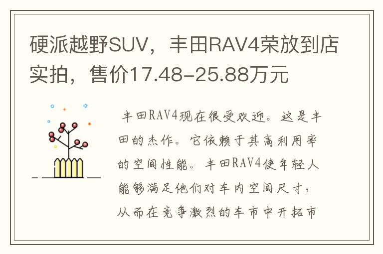 硬派越野SUV,丰田RAV4荣放到店实拍,售价17.48-25.88万元