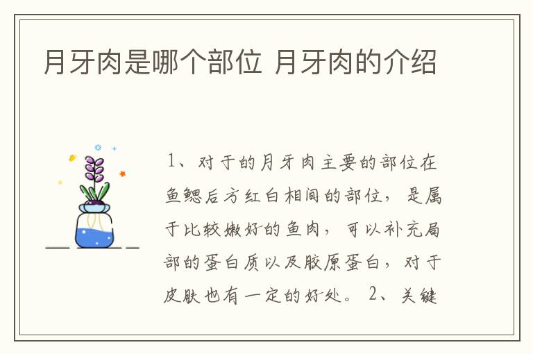 月牙肉是哪个部位 月牙肉的介绍