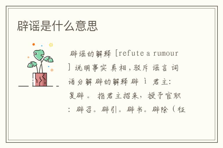 辟谣是什么意思