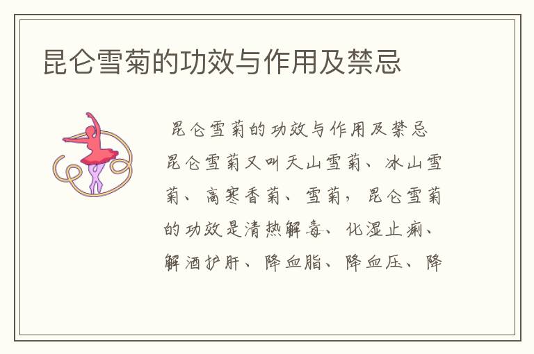 昆仑雪菊的功效与作用及禁忌
