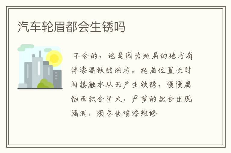 汽车轮眉都会生锈吗