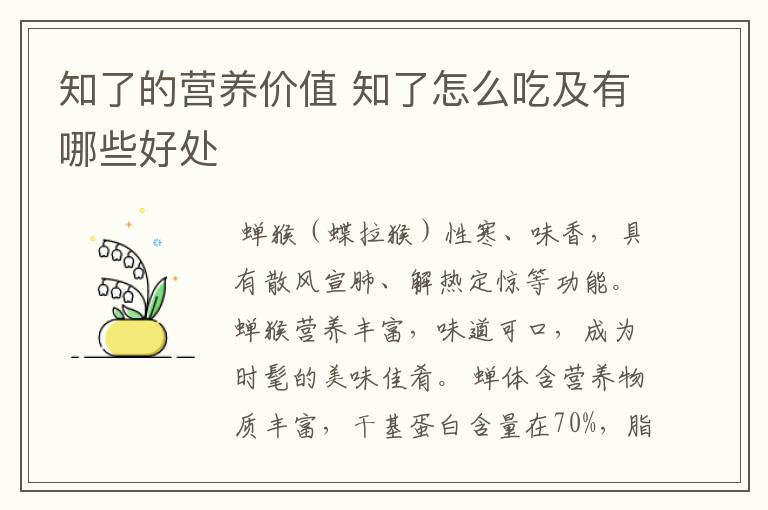 知了的营养价值 知了怎么吃及有哪些好处