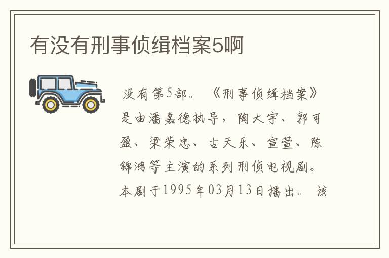 有没有刑事侦缉档案5啊