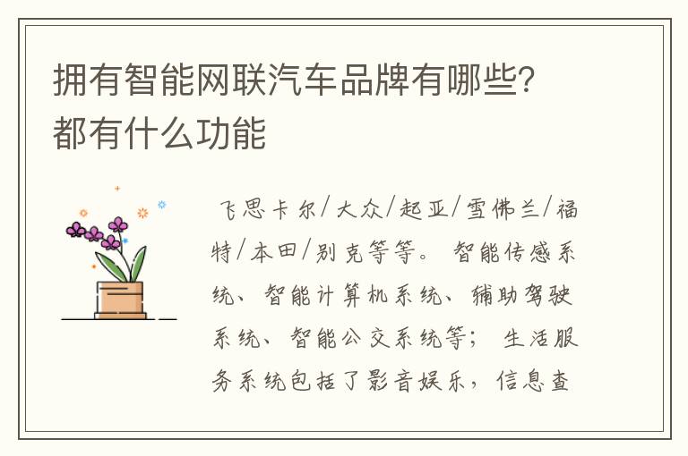拥有智能网联汽车品牌有哪些？都有什么功能