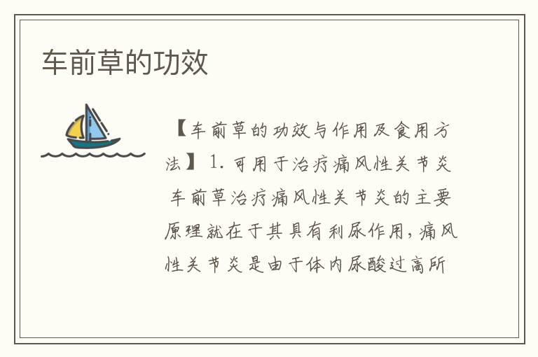 车前草的功效