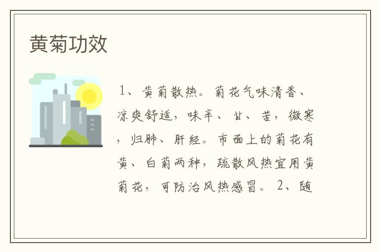 黄菊功效