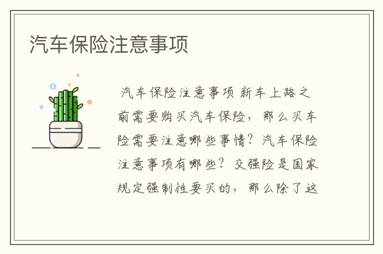 汽车保险注意事项