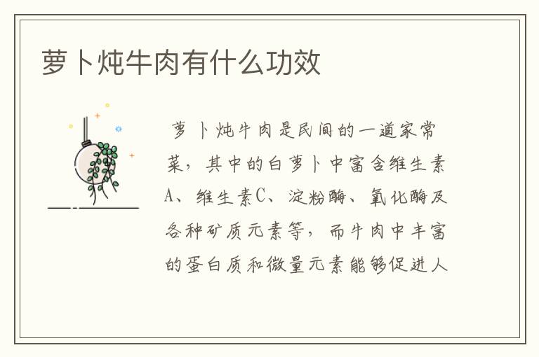 萝卜炖牛肉有什么功效
