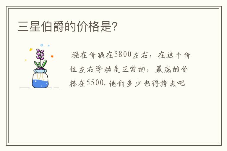 三星伯爵的价格是？