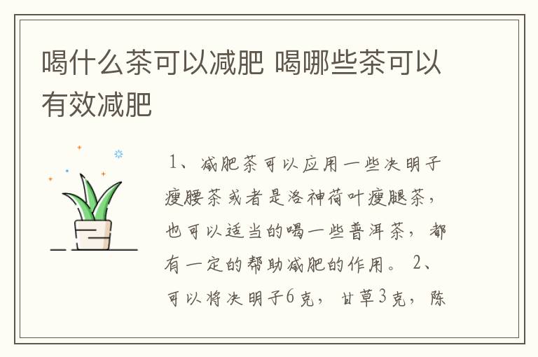 喝什么茶可以减肥 喝哪些茶可以有效减肥