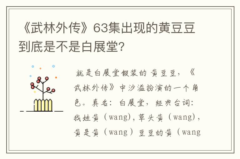 《武林外传》63集出现的黄豆豆到底是不是白展堂?