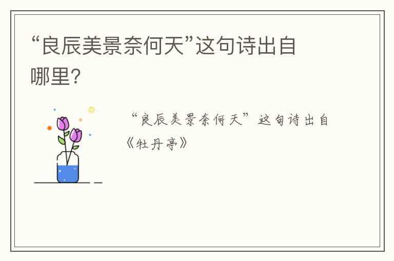 “良辰美景奈何天”这句诗出自哪里?